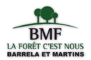 BMF